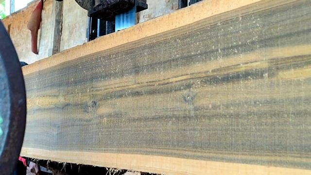 kaget saat menemukan sesuatu di kayu besar ini,penggergajian kayu menjadi tegang.sawmill.woodworkin смотреть онлайн