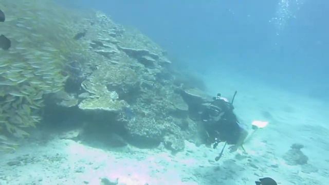 Дайвинг для начинающих смотреть онлайн