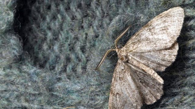 6 невероятных способов использования корицы, о которых вы не подозревали