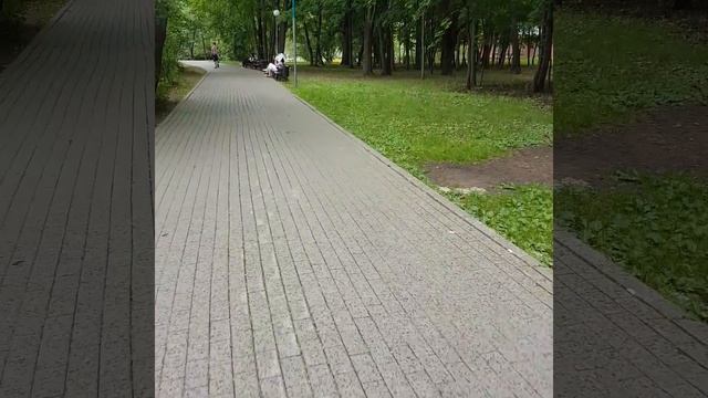 Воронцовский парк Москва, лето 2018 г. смотреть онлайн