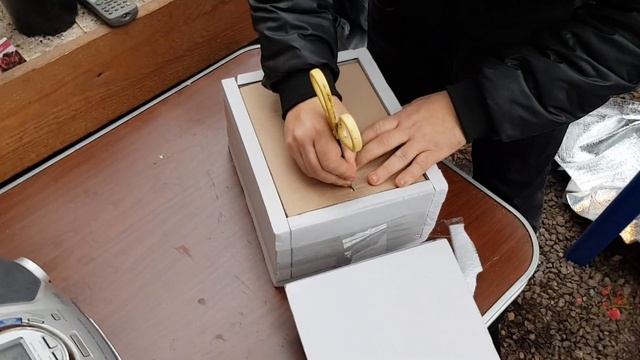 Не укорененные черенки петуньи от Натали Шматлай часть 1 смотреть онлайн