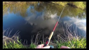 Щучьи атаки, одна за другой  Jackall Squad MInnow 95 SP .