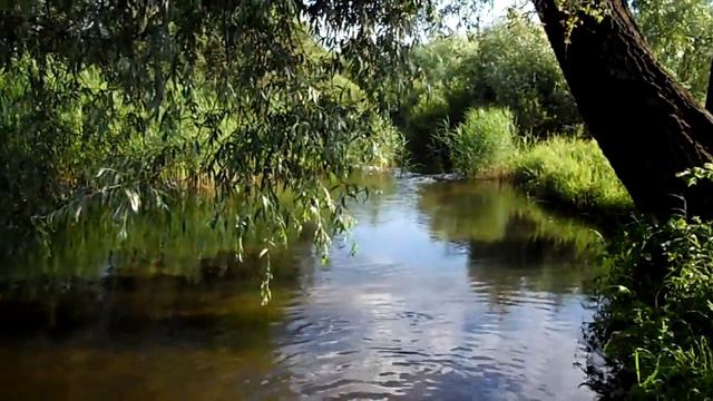 Река Павловка