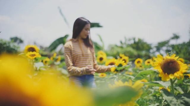 Janeira Rosel Bondad Save the Date Video смотреть онлайн