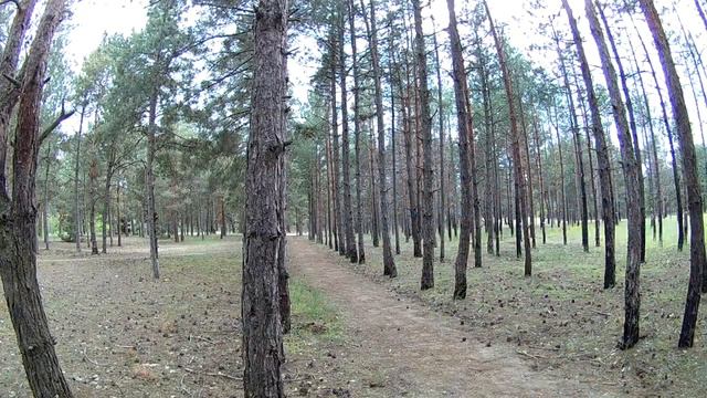 Бег на полный или пустой желудок. Тест повязки #ElevenUkraine  I Бегущий к мечте #037