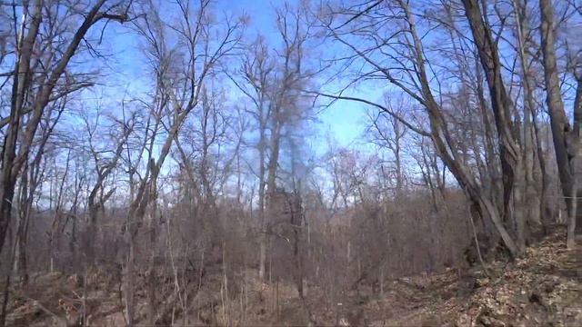 город уфа 5 апреля 2023 в лесу снега нет вообще. смотреть онлайн