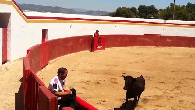 Боевые быки?Какие они на самом деле? Испания?Валенсия ? смотреть онлайн