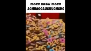 [1H] MEOW MEOW MEOW AGHHAGGAUGUUGHGHG 1  HOUR