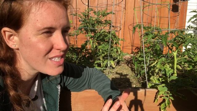 The CHEAPEST Mulch On The Market. Using grass clippings for mulch & it’s benefits for the soil. смотреть онлайн