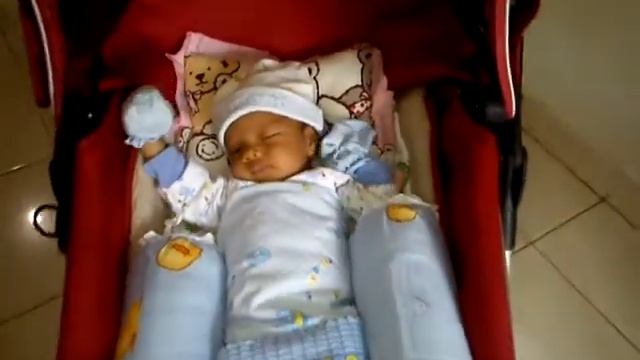 Danika stroller смотреть онлайн