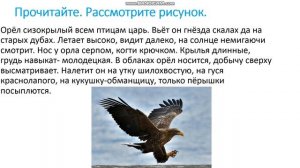 Русский язык 2 класс. Повторение пройденного материала