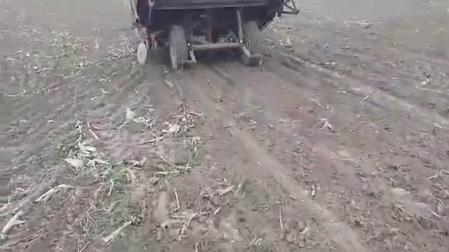 Внесение регента(грунтового инсектицида) с помощью картофеле сажалки. смотреть онлайн