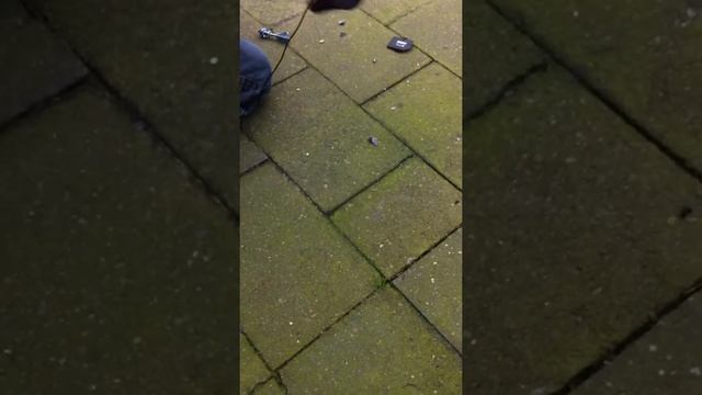 speaker crash смотреть онлайн