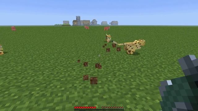 Как приручить оцелота!.avi смотреть онлайн