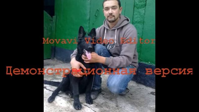 С днём рождения любимый копия смотреть онлайн