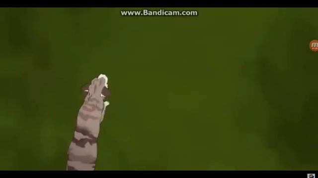 Коты -воители Грач и Листвичка смотреть онлайн
