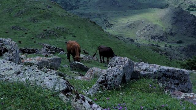 АСМР ГРУЗИЯ? Звуки природы, музыка, красивые виды (без слов) / ASMR Nature of Georgia (no talking) смотреть онлайн