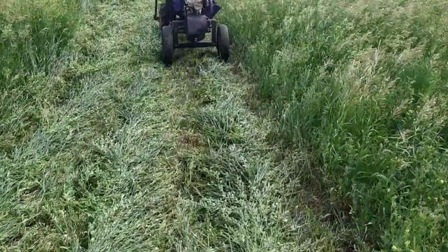 Мотоблок ОКА с адаптером косит роторной косилкой Заря смотреть онлайн