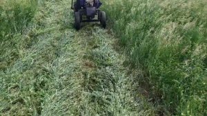 Мотоблок ОКА с адаптером косит роторной косилкой Заря