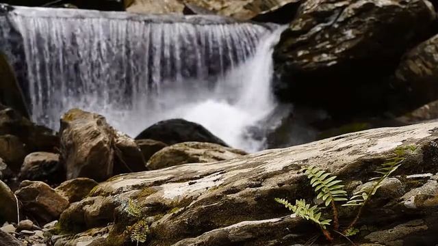 Частота 432 Гц со встроенными Дельта волнами и звуками природы смотреть онлайн