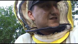 Состав приманки для пчёл. смотреть онлайн