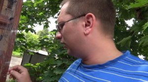 Обзор китаиская сеть!!!!!!!