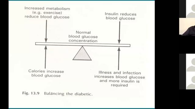 Pharmacology - Diabetes Medication | DRUGS FOR DIABETES | Ample Medical Lectures смотреть онлайн