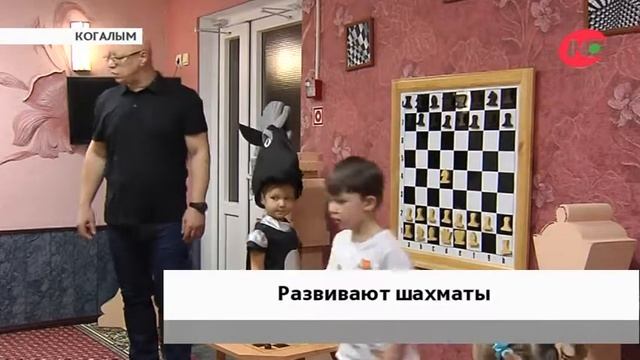 В Когалыме дошкольников приучают к шахматам с помощью мультиков смотреть онлайн