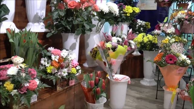 Садовый центр 4-е САДА. Коноша. 2018г. смотреть онлайн