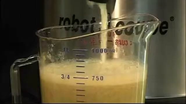 Robot Coupe Automatic Juicer J 80 смотреть онлайн
