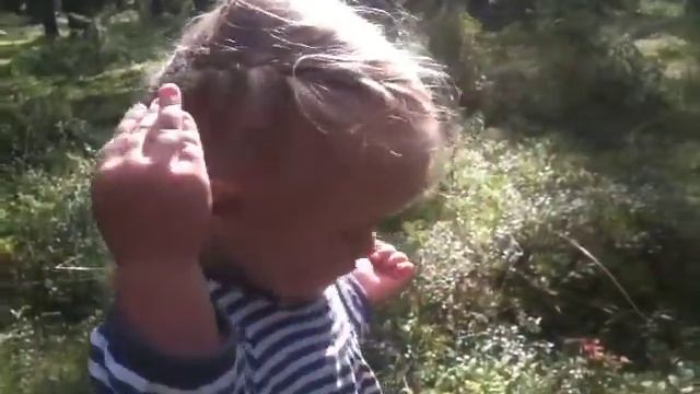 ем чернику смотреть онлайн