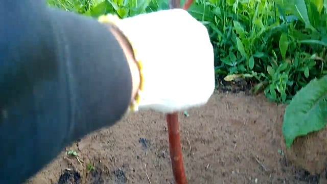 Строительные Перспективы