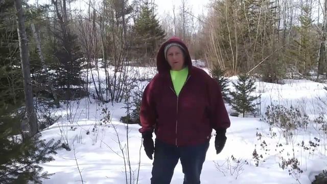 prepping for shtf, survival food, grow achocha in united states, food rationing смотреть онлайн