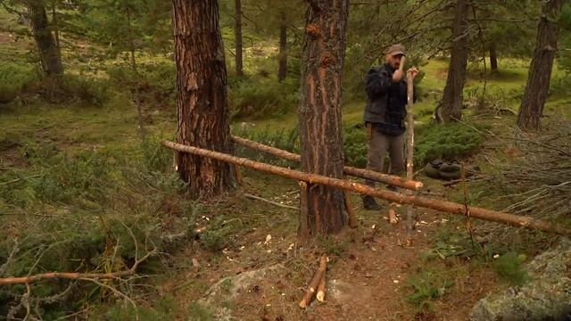 MAKING A SHELTER WITH A KNIFE Primitive Hanging Shelter! Bushcraft Shelter With Blade And Rope