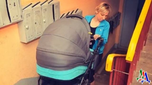 АЛЬМА 45. «Не должен человек грести всё под себя, как курица!» - Костя погладил свою красавицу Альм смотреть онлайн