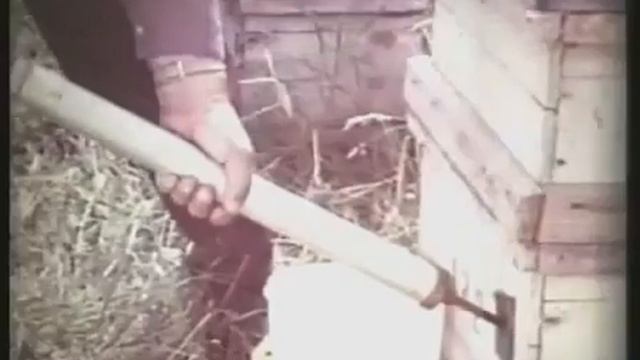 Пчеловодство 1979г смотреть онлайн