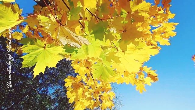 ? 24 сентября - Федорины Вечерки. Народные праздники. Что нельзя делать. Приметы. Традиции. смотреть онлайн