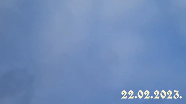 Пермские гривуны 22.02.2023. смотреть онлайн