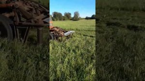 роторная косилка на трактор т 16