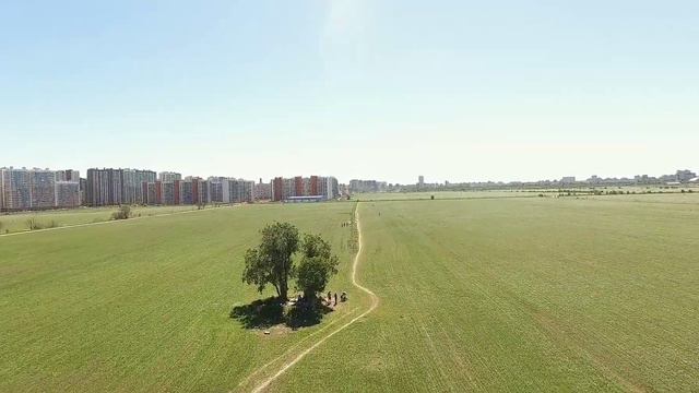 Поле между Мурино и Буграми смотреть онлайн