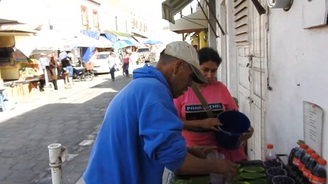 Garambullos y Borrachitas ( Frutos del Myrtillocactus geometrizans y el Ferocactus histrix ) смотреть онлайн