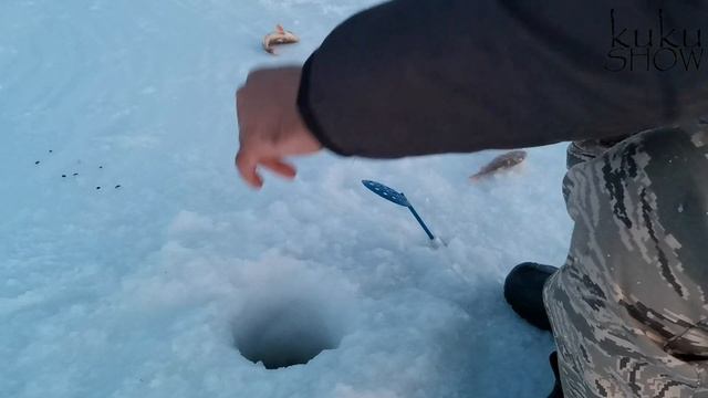 МОРОЗ И ВЕТЕР НЕ ПОМЕШАЛИ ВЗЯТЬ ХОРОШИЙ УЛОВ оз. Ачикуль Усть-логатка Омская обл. Рыбалка 2021 смотреть онлайн