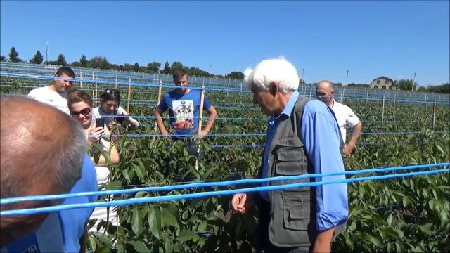 Семинар по ореховодству часть III. Июнь 2017 смотреть онлайн