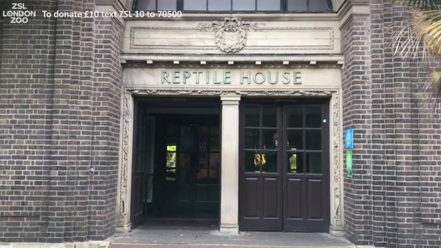 ZSL London Zoo closes its doors смотреть онлайн