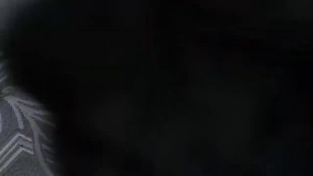 Красивые великолепные пудели 3 пуделя персик Джесика фантом Сандра щенок степан смотреть онлайн