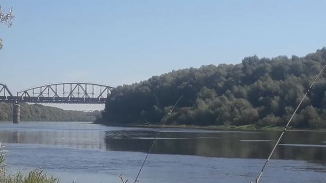 рыбалка на десне летом 2020 смотреть онлайн