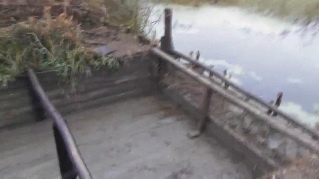 Проверка стока воды на лагерном пруду.  Дятел  проверяет ветлы.  04.10. 2017