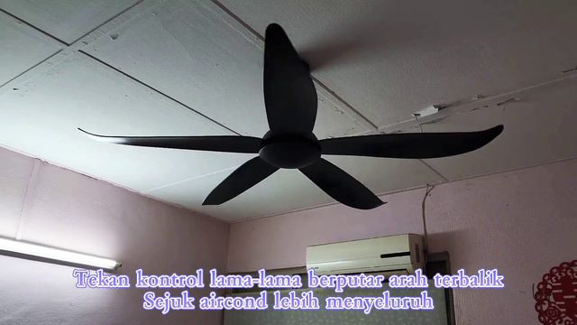 DC Motor Ceiling Fan (Alpha/Rezo/Ecoluxe/Deka) BEST VALUE FOR MONEY смотреть онлайн