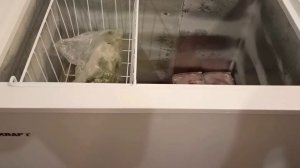 недостатки морозильного ларя Крафт 165.