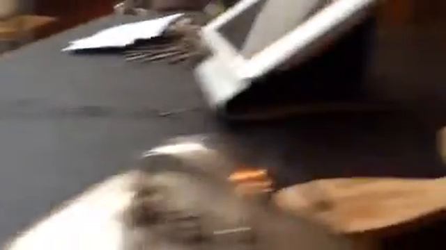 Miele CVA 6431 - Making Cappucino 2a